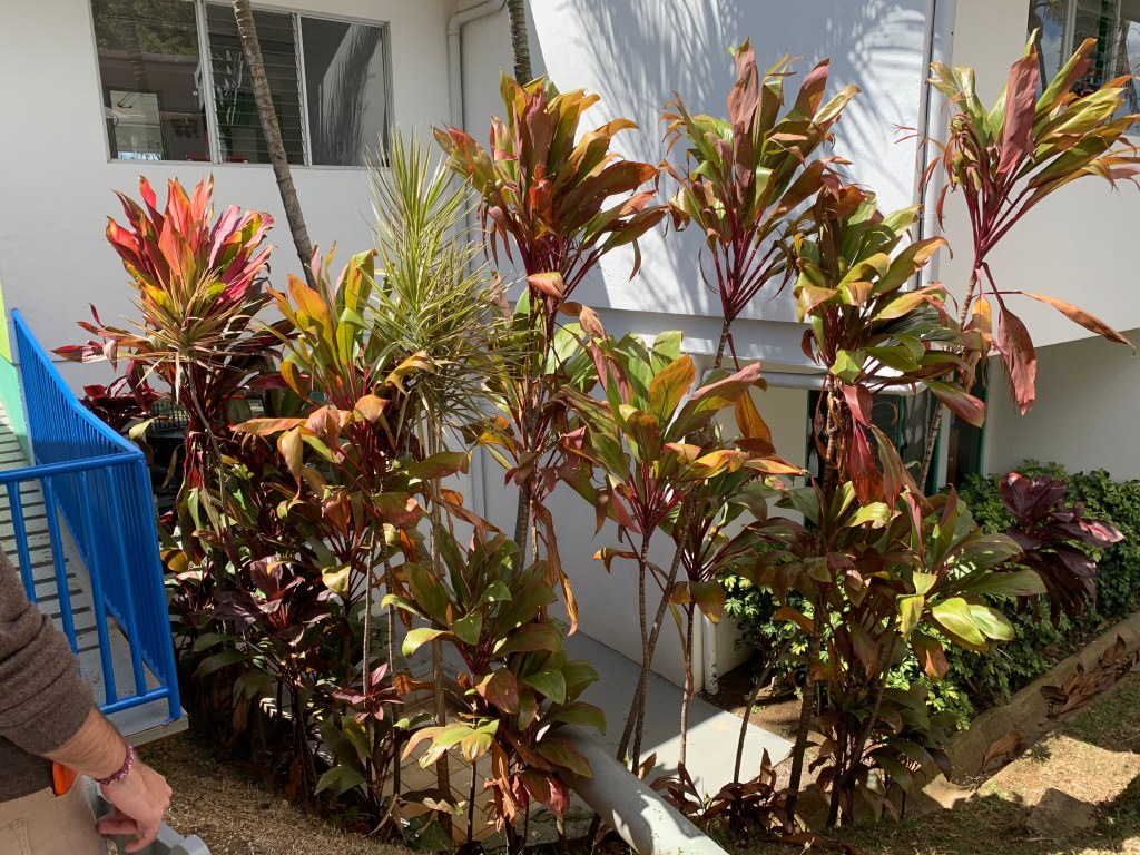 La imagen tiene un atributo ALT vacío; su nombre de archivo es img_4958-1.jpg