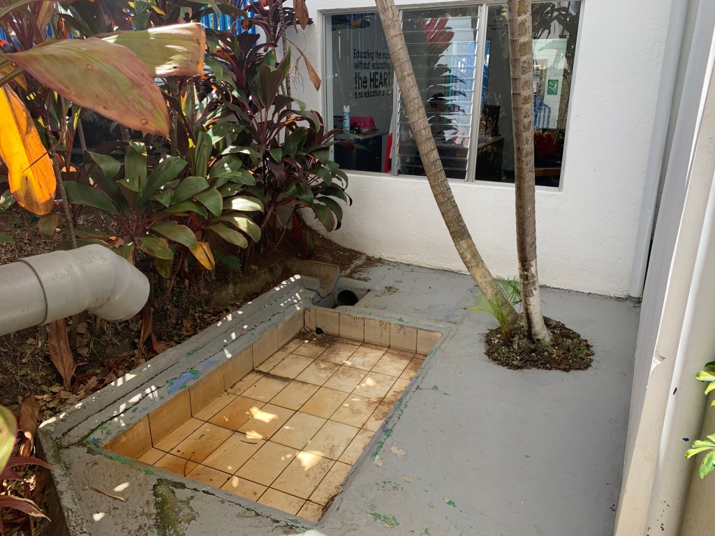 La imagen tiene un atributo ALT vacío; su nombre de archivo es img_4959.jpg