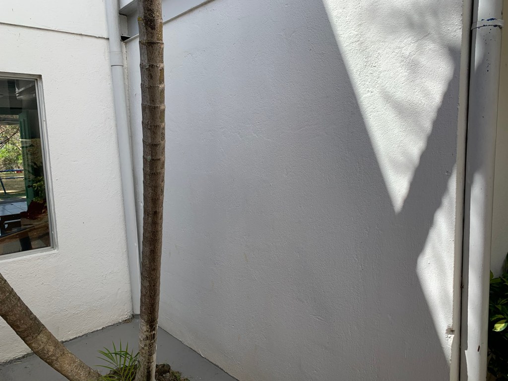 La imagen tiene un atributo ALT vacío; su nombre de archivo es img_4960.jpg